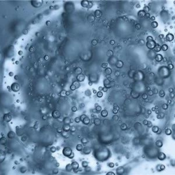 niacinamide